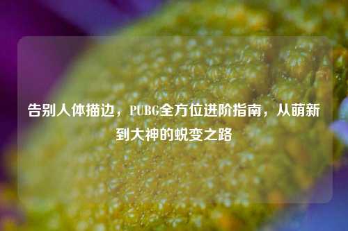 告别人体描边，PUBG全方位进阶指南，从萌新到大神的蜕变之路