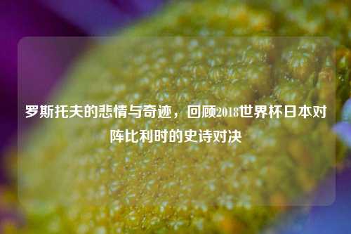 罗斯托夫的悲情与奇迹，回顾2018世界杯日本对阵比利时的史诗对决