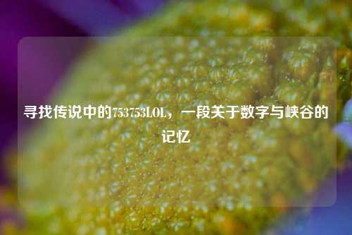 寻找传说中的753753LOL，一段关于数字与峡谷的记忆