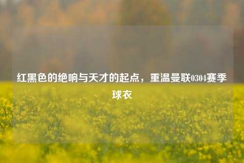 红黑色的绝响与天才的起点，重温曼联0304赛季球衣