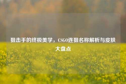 狙击手的终极美学，CSGO连狙名称解析与皮肤大盘点