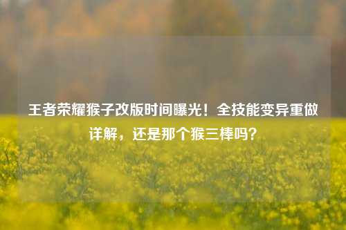 王者荣耀猴子改版时间曝光！全技能变异重做详解，还是那个猴三棒吗？