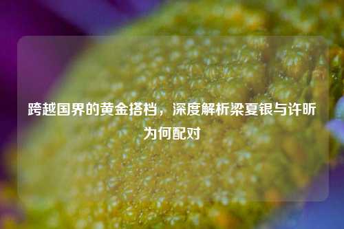 跨越国界的黄金搭档，深度解析梁夏银与许昕为何配对