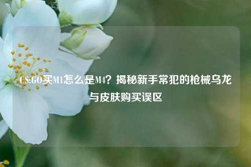 CS:GO买M1怎么是M4？揭秘新手常犯的枪械乌龙与皮肤购买误区