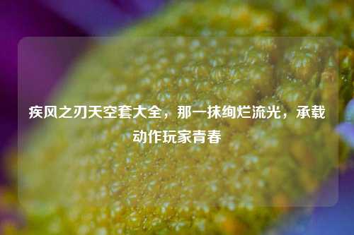 疾风之刃天空套大全，那一抹绚烂流光，承载动作玩家青春