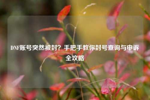 DNF账号突然被封？手把手教你封号查询与申诉全攻略