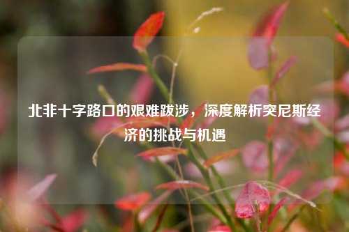 北非十字路口的艰难跋涉，深度解析突尼斯经济的挑战与机遇