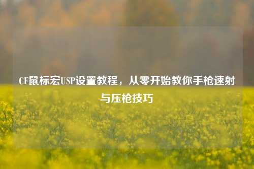 CF鼠标宏USP设置教程，从零开始教你手枪速射与压枪技巧