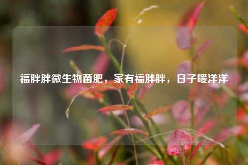 福胖胖微生物菌肥，家有福胖胖，日子暖洋洋
