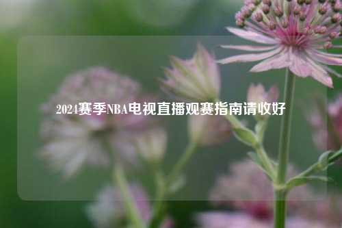 2024赛季NBA电视直播观赛指南请收好