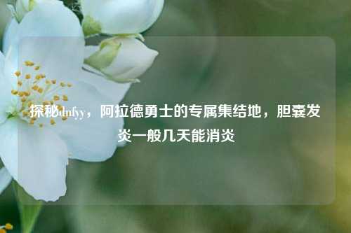 探秘dnfyy，阿拉德勇士的专属集结地，胆囊发炎一般几天能消炎