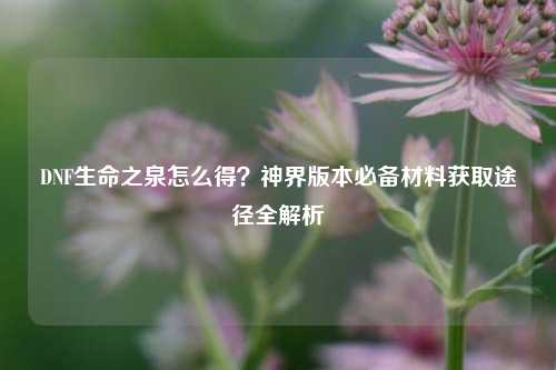 DNF生命之泉怎么得？神界版本必备材料获取途径全解析