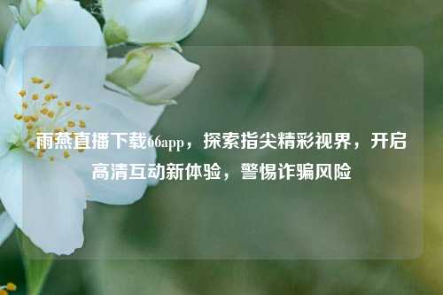 雨燕直播下载66app，探索指尖精彩视界，开启高清互动新体验，警惕诈骗风险