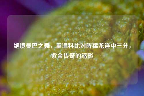 绝境曼巴之舞，重温科比对阵猛龙连中三分，紫金传奇的缩影