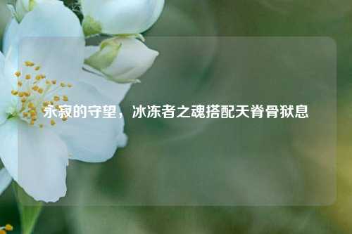 永寂的守望，冰冻者之魂搭配天脊骨狱息