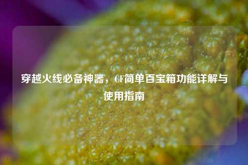 穿越火线必备神器，CF简单百宝箱功能详解与使用指南