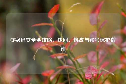 CF密码安全全攻略，找回、修改与账号保护指南