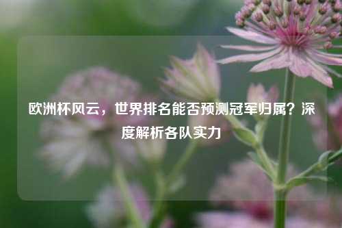 欧洲杯风云，世界排名能否预测冠军归属？深度解析各队实力