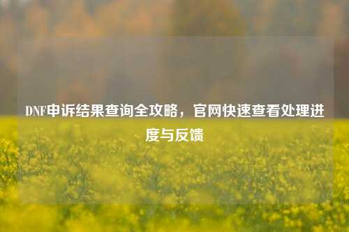 DNF申诉结果查询全攻略，官网快速查看处理进度与反馈
