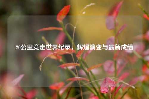 20公里竞走世界纪录，辉煌演变与最新成绩