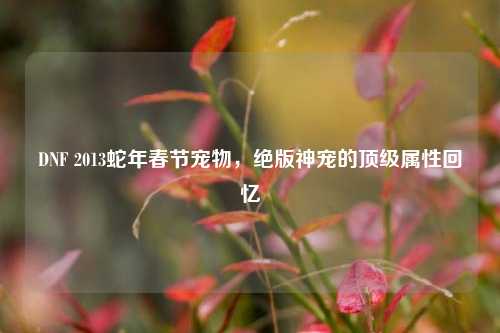 DNF 2013蛇年春节宠物，绝版神宠的顶级属性回忆
