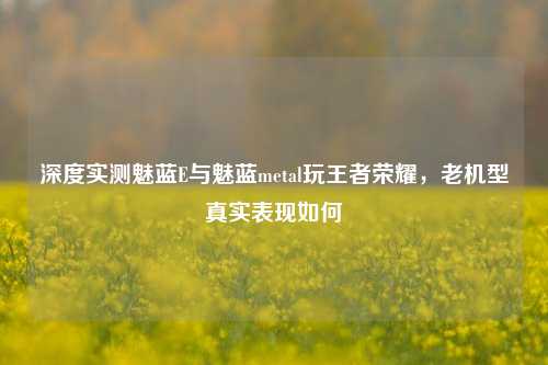 深度实测魅蓝E与魅蓝metal玩王者荣耀，老机型真实表现如何