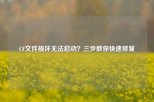 CF文件损坏无法启动？三步教你快速修复