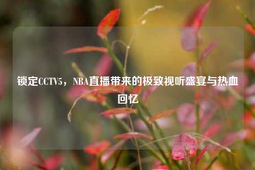 锁定CCTV5，NBA直播带来的极致视听盛宴与热血回忆