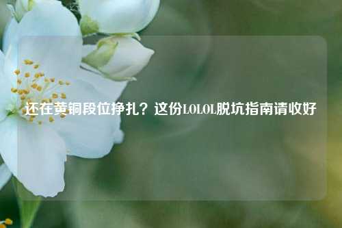还在黄铜段位挣扎？这份LOLOL脱坑指南请收好