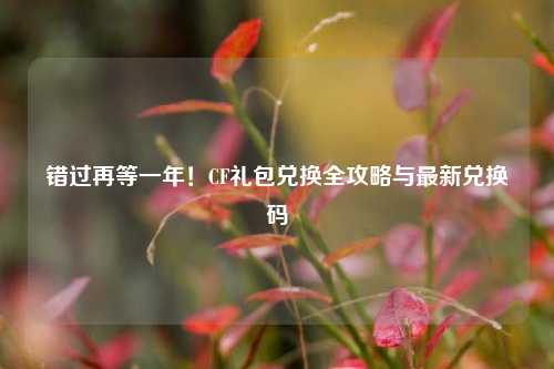 错过再等一年！CF礼包兑换全攻略与最新兑换码