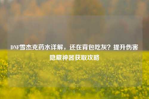 DNF雪杰克药水详解，还在背包吃灰？提升伤害隐藏神器获取攻略
