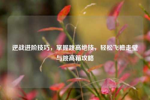 逆战进阶技巧，掌握跳高绝技，轻松飞檐走壁与跳高箱攻略