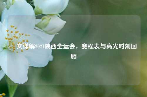 一文详解2021陕西全运会，赛程表与高光时刻回顾