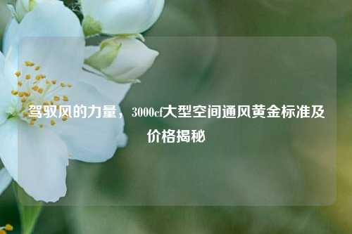 驾驭风的力量，3000cf大型空间通风黄金标准及价格揭秘