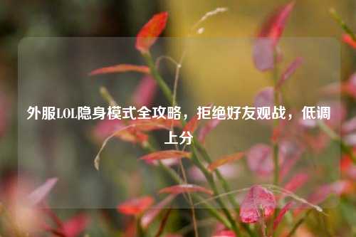 外服LOL隐身模式全攻略，拒绝好友观战，低调上分