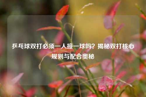 乒乓球双打必须一人接一球吗？揭秘双打核心规则与配合奥秘