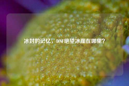 冰封的记忆，DNF绝望冰崖在哪里？