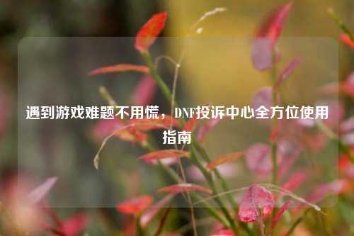 遇到游戏难题不用慌，DNF投诉中心全方位使用指南