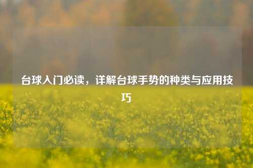 台球入门必读,详解台球手势的种类与应用技巧