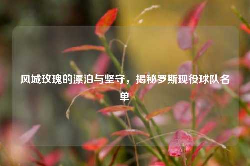 风城玫瑰的漂泊与坚守,揭秘罗斯现役球队名单