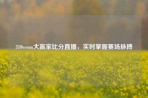 310vcom大赢家比分直播,实时掌握赛场脉搏