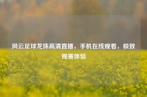 风云足球龙珠高清直播,手机在线观看,极致观赛体验