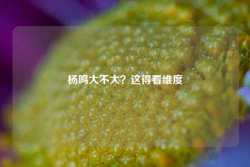 杨鸣大不大?这得看维度