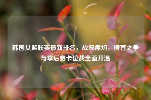 韩国女篮联赛最新排名,战况焦灼,榜首之争与季后赛卡位战全面升温