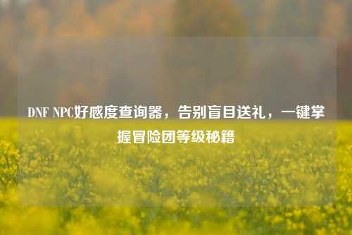 DNF NPC好感度查询器，告别盲目送礼，一键掌握冒险团等级秘籍