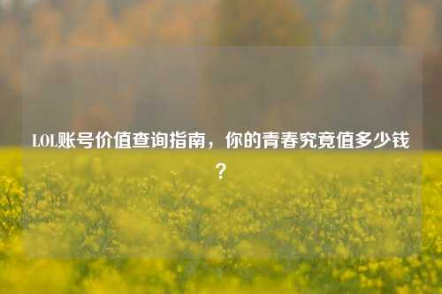 LOL账号价值查询指南，你的青春究竟值多少钱？