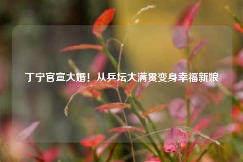 丁宁官宣大婚!从乒坛大满贯变身幸福新娘