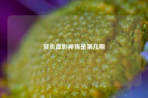 冥炎血影神殇是第几期