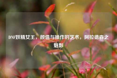 DNF妖精女王，颜值与操作的艺术，阿拉德森之魅影