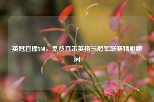 英冠直播360,免费直击英格兰冠军联赛精彩瞬间